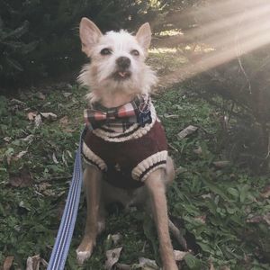 Meet your Posher, Jack